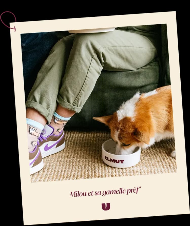 Introduction polaroid