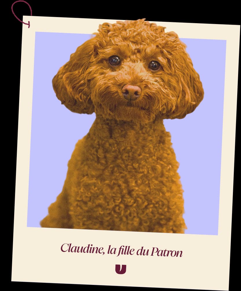 Claudine dog