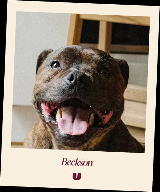 Beckson Polaroid