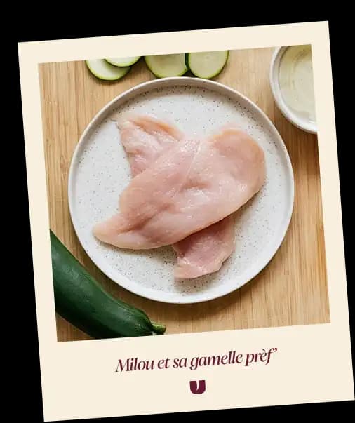 Chicken cat recipe