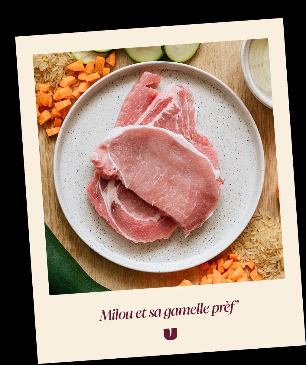 Pork dog recipe