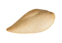 Viande de poulet