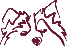 Adapté à tous<br/>les chiens